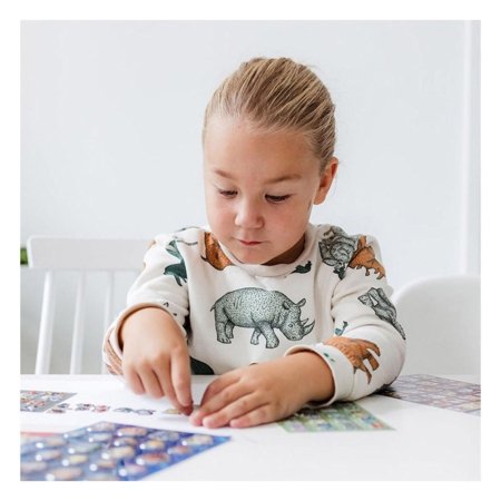 TOTUM PAW PATROL kleebiste komplekt, 720985 