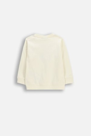 COCCODRILLO pusa, beež, WC6143101HBN-003-068, 68 suurus 