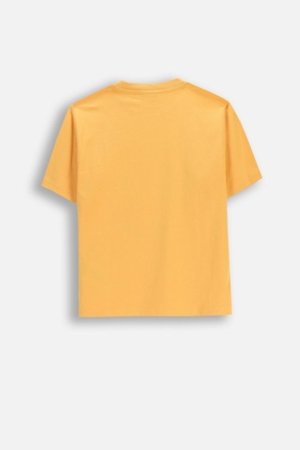 COCCODRILLO lühikeste varrukatega t-särk, oranžid, WC6143205MBJ-006-140, 140 cm 