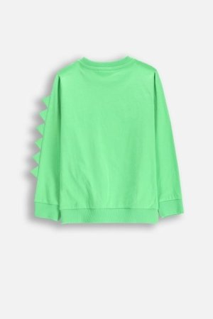 COCCODRILLO pikkade varrukatega särk DRAGONS BOY KIDS, roheline, WC5143102DBK-011-122, 122 cm 