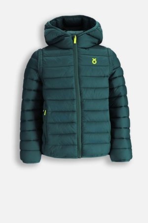 COCCODRILLO jope, roheline, suurus 