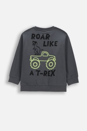 COCCODRILLO pikkade varrukatega t-särk, hallid, cm 