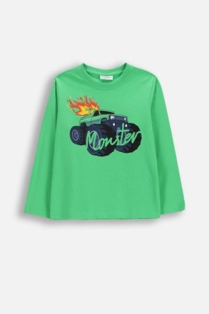 COCCODRILLO pikkade varrukatega t-särk, rohelised, cm 