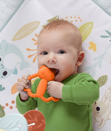 FISHER PRICE närimislelud, JFJ95 