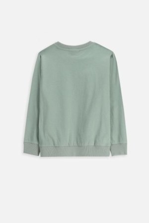 COCCODRILLO t-särk EVERYDAY BOY A, rohelised, cm 