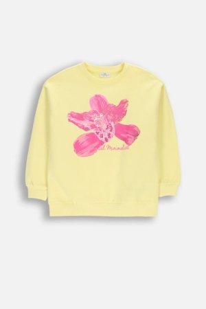 COCCODRILLO pusa, kollane, suurus 