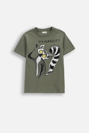 COCCODRILLO lühikeste varrukatega t-särk, rohelised, cm 