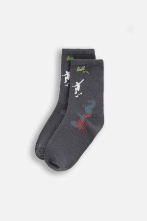 COCCODRILLO sokid SOCKS BOY, värviline, cm 