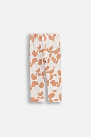 COCCODRILLO retuusid, kreemikat, WC6122101HUN-022-062, 62 suurus 