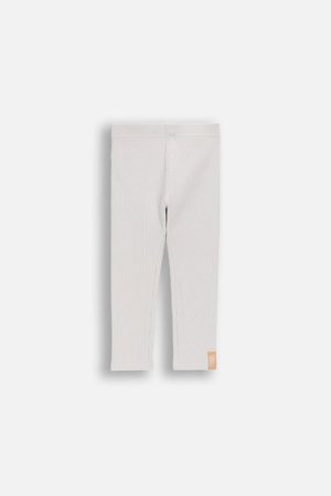 COCCODRILLO retuusid, hallid, 