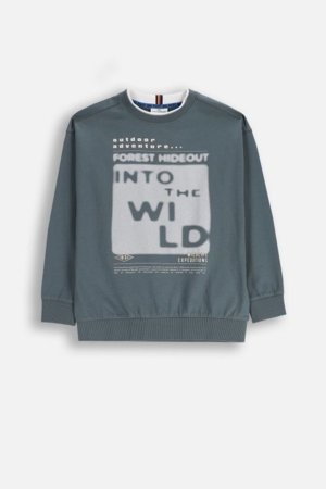 COCCODRILLO t-särk, hallid, cm 