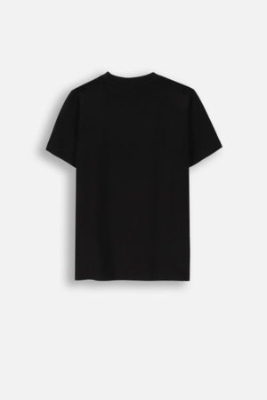 COCCODRILLO t-shirt LICENCE BOY, hallid, ZC4143212LBD-019-164, 164 cm 