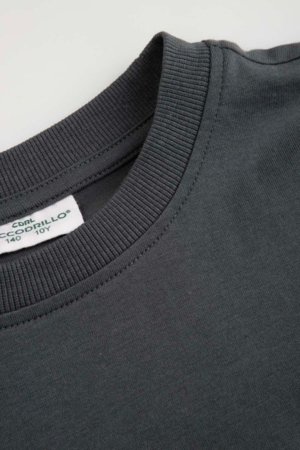 COCCODRILLO lühikeste varrukatega t-särk, hallid, WC6143202RBJ-020-146, 146 cm 