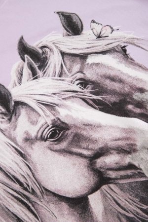 COCCODRILLO lühikeste varrukatega t-särk, lillad, cm 