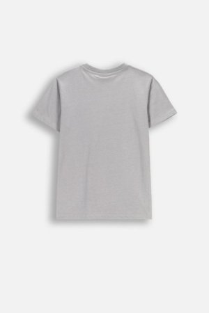 COCCODRILLO lühikeste varrukatega t-särk, hallid, cm 