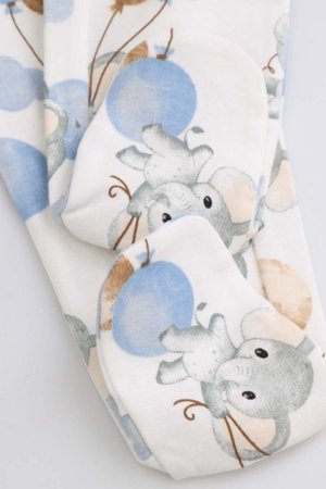COCCODRILLO säärised UNDERWEAR SPECIAL BOY, kreemjas, WC5403101USB-003-074, 74 cm 