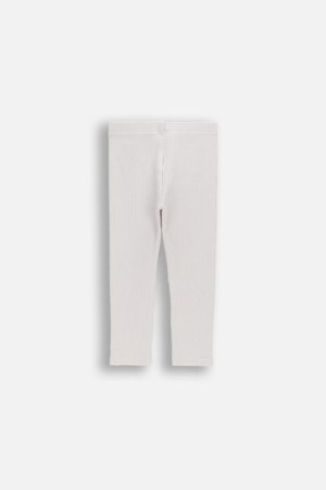 COCCODRILLO retuusid, hallid, 