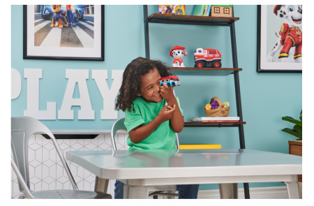 PAW PATROL Die Cast Pildiotsija, sortiment, 6061504 6061504