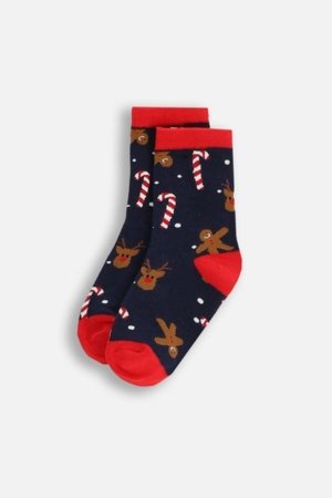 COCCODRILLO sokid, värvilised, ZC5382204MER-022-026, 26-30 cm 