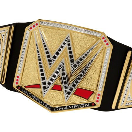 WWE Undisputed Universal meistrivöö, HYJ35 