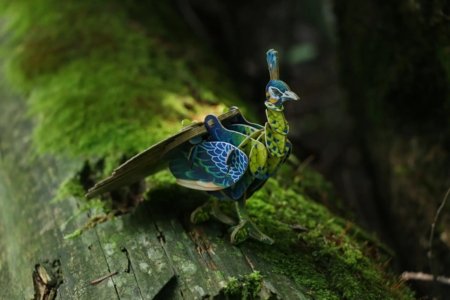 MAKEBUG 3D paberist pusle green peafowl, MB-D-0016 