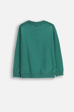 COCCODRILLO t-särk, roheline, ZC5143101YBK-011-110, 110 cm 