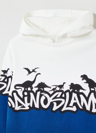OVS BOY3-10Y SWEATSHIRT 2M 9-10 BLUE 001820932 001820932