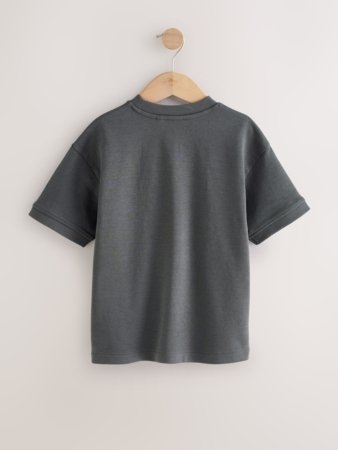 NEXT t-särk, F23914, cm 