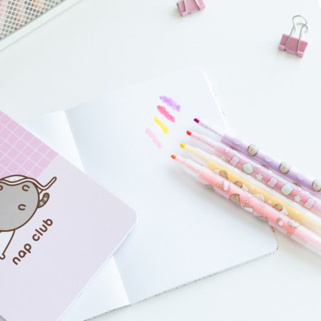 PUSHEEN MOMENTS kirjatarvete komplekt, SETP006 