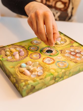 BRAIN GAMES mäng  Tweet-Tweet LT/LV/EE, BRG#TWEET 