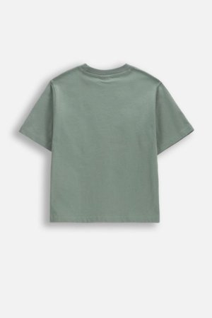 COCCODRILLO lühikeste varrukatega t-särk, rohelised, WC6143216LBD-011-098, 98 