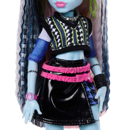 MONSTER HIGH nukk Frankie, JHK31 