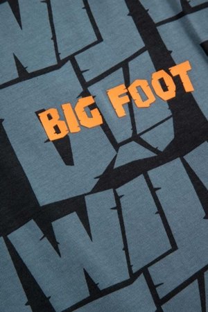 COCCODRILLO t-särk, värvilised, ZC5143203YBJ-022-164, 164 cm 