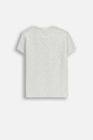 COCCODRILLO t-särk EVERYDAY GIRL A, hall, ZC5143238VGA-019-116, 116 cm 