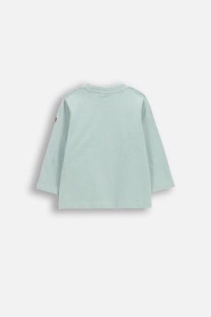 COCCODRILLO pikkade varrukatega t-särk, rohelised, WC6143103HBN-031-080, 80 suurus 