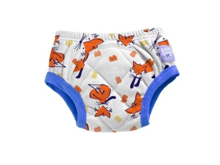 BAMBINO MIO korduvkasutatavad mähkmed potitreeninguks 3-4 a., fuzz, TP3-4FUZ 