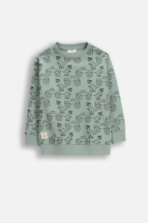 COCCODRILLO pusa, roheline, WC6132102NBK-011-116, 116 cm 