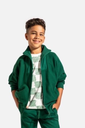 COCCODRILLO pullover with zipper ACADEMY BOY JUNIOR, roheline, ZC4132202ABJ-011-164, 164 cm 