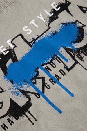 COCCODRILLO pikkade varrukatega t-särk, hallid, cm 