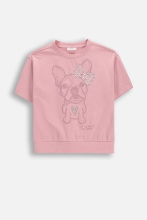 COCCODRILLO lühikeste varrukatega t-särk, roosad, cm 