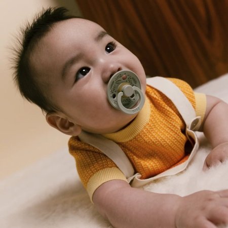 BIBS lutid COLOUR ROUND RETRO LEAF, 0-6k, 2 tk. 