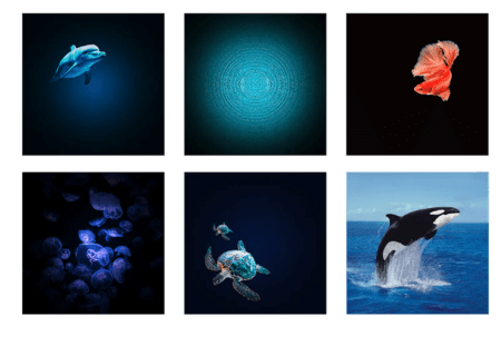 KIDYWOLF Galaxy projektor, mündiroheline, KIDYSTAR-GR 