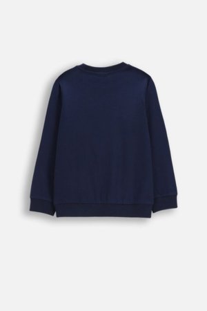 COCCODRILLO pikkade varrukatega t-särk, sinised, cm 