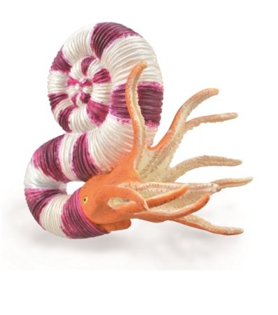 COLLECTA figuur pravitoceras, 88927 