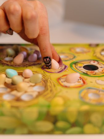 BRAIN GAMES mäng  Tweet-Tweet LT/LV/EE, BRG#TWEET 