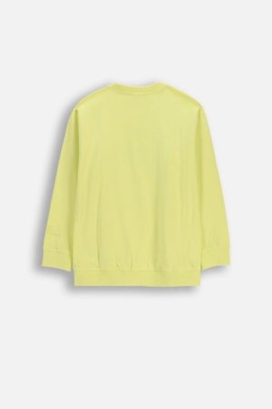 COCCODRILLO pusa, kollane, WC6143102NBJ-004-140, 140 cm 