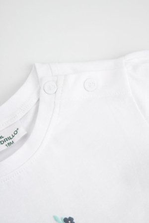 COCCODRILLO lühikeste varrukatega t-särk, valged, suurus 