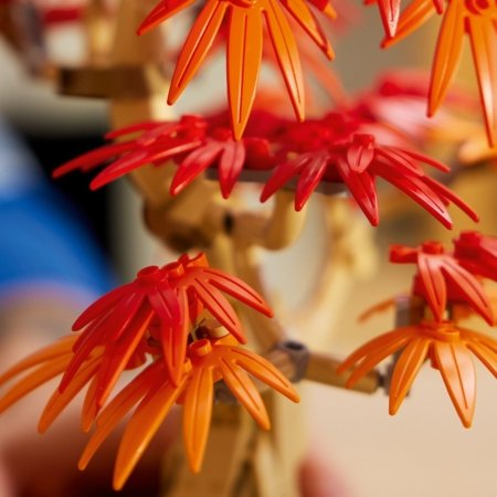 10348 LEGO® Botanical Collection Jaapani punase vahtra bonsaipuu 
