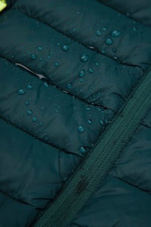 COCCODRILLO jope, roheline, suurus 