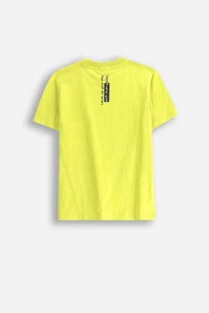 COCCODRILLO lühikeste varrukatega särk GAMER BOY JUNIOR, roheline, WC5143202GBJ-012-164, 164 cm 